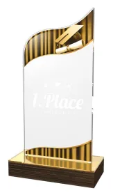 Akrylátová trofej WPLA630 | Studium Výška cm: 19,5