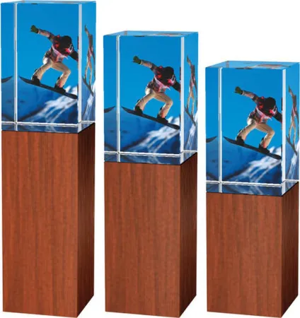 Skleněná trofej - kombinace skla a dřeva CRS4021 | Snowboard Výška cm: 16, Šířka cm: 5