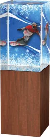 Skleněná trofej - kombinace skla a dřeva CRS4021M20 | Snowboard Výška cm: 18, Šířka cm: 5