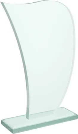 Skleněná trofej CR22214