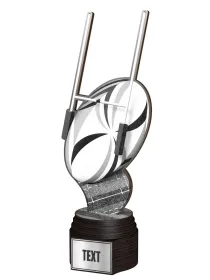 Dřevěná trofej ACTCWR137 | Americký fotbal ACTCWR137C