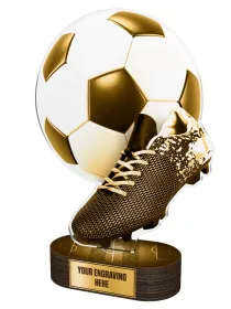 Akrylátová trofej TLR2023204 | Fotbal TLR2023204D