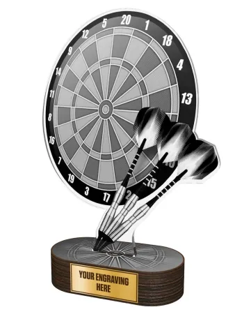 Akrylátová trofej TLR2023208 | Šipky TLR2023208D