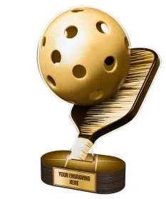 Akrylátová trofej TLR2023216 | Piklebal TLR2023216A