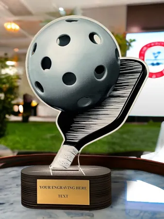 Akrylátová trofej TLR2023217 | Piklebal TLR2023217A