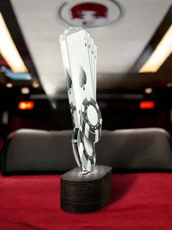 Akrylátová trofej TLR2023229 | Karty TLR2023229E