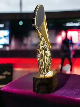 Akrylátová trofej TLR2023234 | Roztleskávačky TLR2023234C