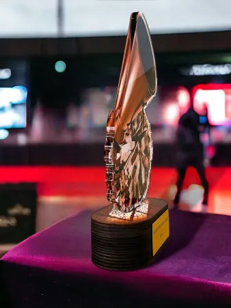 Akrylátová trofej TLR2023236 | Roztleskávačky TLR2023236D