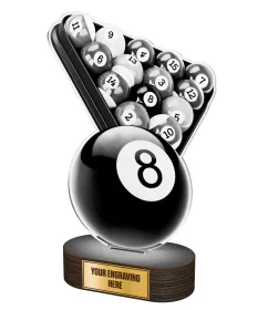 Akrylátová trofej TLR2023265 | Billiard TLR2023265A