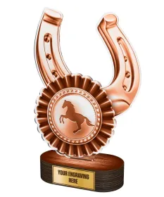 Akrylátová trofej TLR2023272 | Jezdectví TLR2023272E