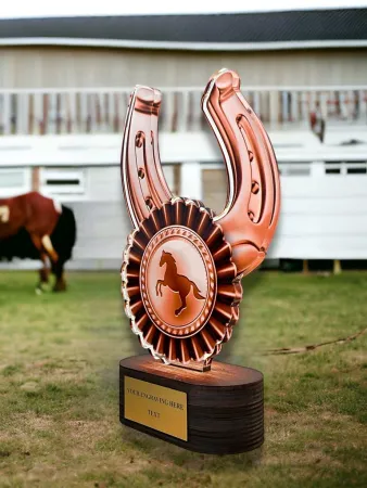 Akrylátová trofej TLR2023272 | Jezdectví TLR2023272A