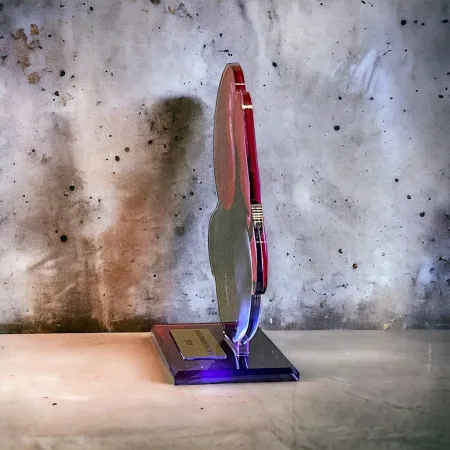 Akrylátová trofej AWF M14 | Bojová umění Výška cm: 15,5 - Šířka cm: 14,5 - stříbrná