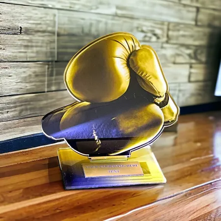 Akrylátová trofej AWF M14 | Bojová umění Výška cm: 15,5 - Šířka cm: 14,5 - stříbrná