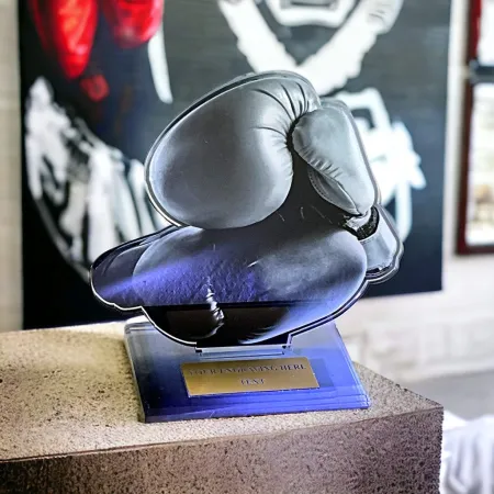 Akrylátová trofej AWF M14 | Bojová umění Výška cm: 15,5 - Šířka cm: 14,5 - stříbrná
