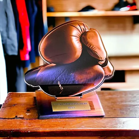 Akrylátová trofej AWF M14 | Bojová umění Výška cm: 15,5 - Šířka cm: 14,5 - stříbrná