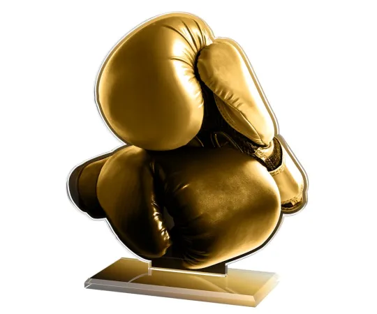 Akrylátová trofej AWF M14 | Bojová umění Výška cm: 15,5 - Šířka cm: 14,5 - stříbrná