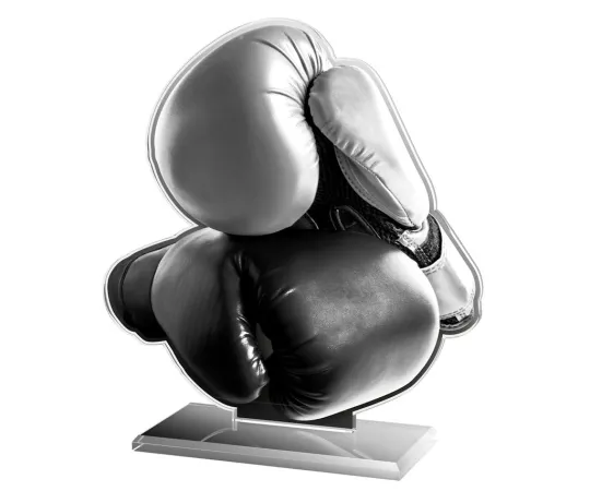 Akrylátová trofej AWF M14 | Bojová umění Výška cm: 15,5 - Šířka cm: 14,5 - stříbrná