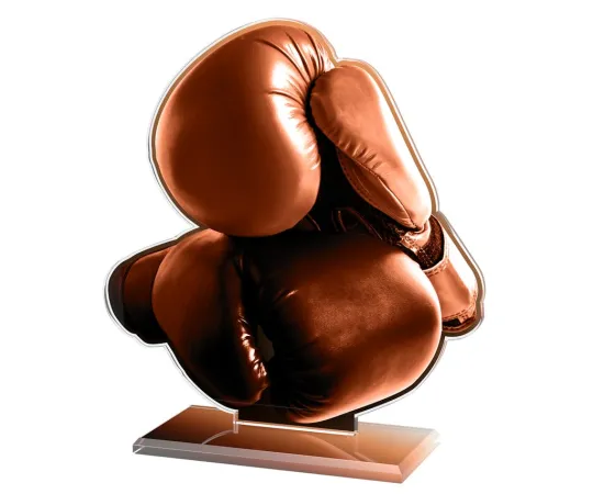 Akrylátová trofej AWF M14 | Bojová umění Výška cm: 15,5 - Šířka cm: 14,5 - stříbrná