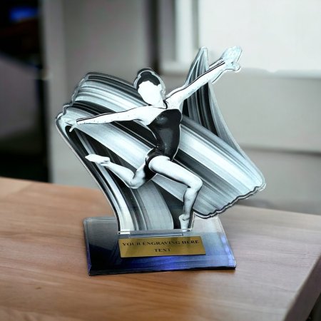 Akrylátová trofej AWF M25 Výška cm: 19,5 - Šířka cm: 18,5 - stříbrná