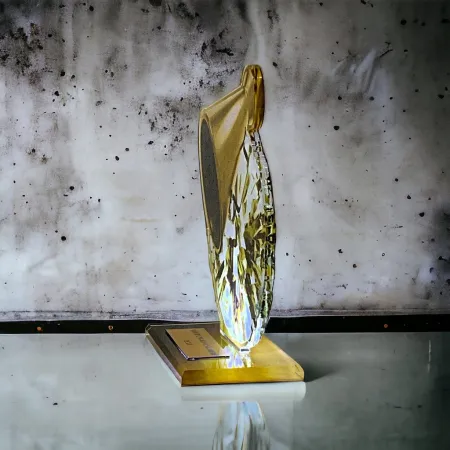 Akrylátová trofej AWF M11 | Roztleskávačky Výška cm: 21,5 - Šířka cm: 20,5 - stříbrná