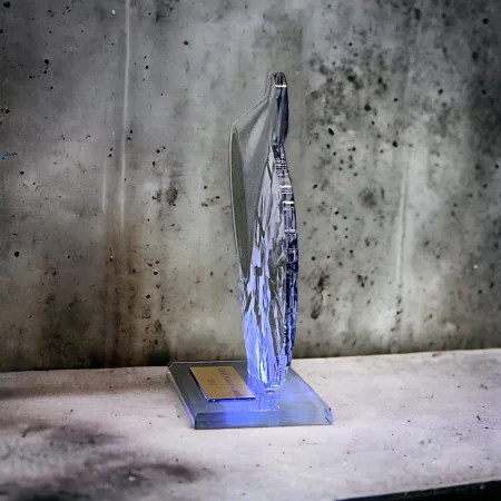 Akrylátová trofej AWF M11 | Roztleskávačky Výška cm: 21,5 - Šířka cm: 20,5 - stříbrná