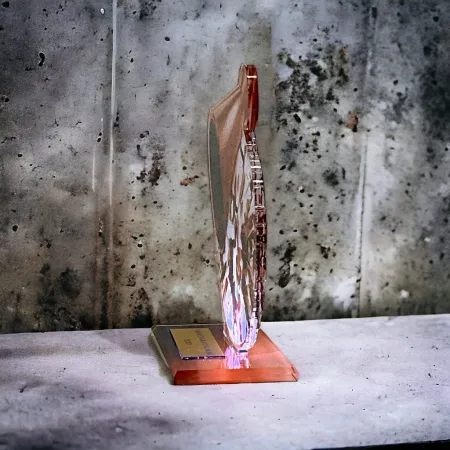 Akrylátová trofej AWF M11 | Roztleskávačky Výška cm: 21,5 - Šířka cm: 20,5 - stříbrná