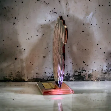 Akrylátová trofej AWF M31 | Šipky Výška cm: 21,5 - Šířka cm: 20,5 - bronzová