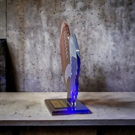 Akrylátová trofej AWF M35 | Americký fotbal Výška cm: 21,5 - Šířka cm: 20,5 - stříbrná