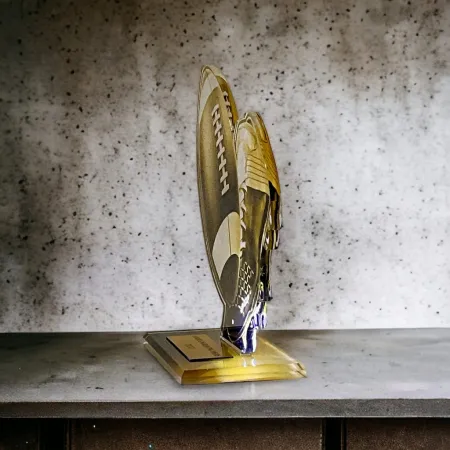 Akrylátová trofej AWF M35 | Americký fotbal Výška cm: 21,5 - Šířka cm: 20,5 - stříbrná