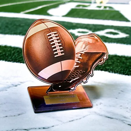 Akrylátová trofej AWF M35 | Americký fotbal Výška cm: 21,5 - Šířka cm: 20,5 - stříbrná