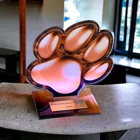 Akrylátová trofej AWF M36 | Kynologie Výška cm: 21,5 - Šířka cm: 20,5 - bronzová