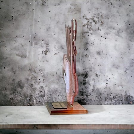 Akrylátová trofej AWF M50 Výška cm: 17,5 - Šířka cm: 16,5 - stříbrná
