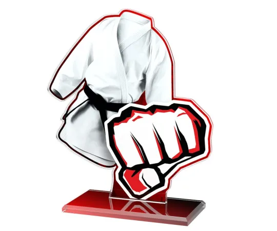 Akrylátová trofej AWF M57 | Bojová umění Výška cm: 21,5 - Šířka cm: 20,5 - stříbrná