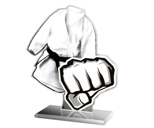 Akrylátová trofej AWF M57 | Bojová umění Výška cm: 21,5 - Šířka cm: 20,5 - stříbrná