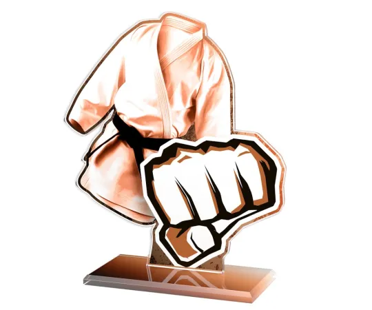 Akrylátová trofej AWF M57 | Bojová umění Výška cm: 21,5 - Šířka cm: 20,5 - stříbrná