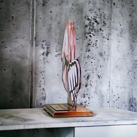 Akrylátová trofej AWF M57 | Bojová umění Výška cm: 21,5 - Šířka cm: 20,5 - stříbrná