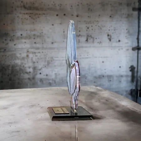 Akrylátová trofej AWF M57 | Bojová umění Výška cm: 21,5 - Šířka cm: 20,5 - stříbrná