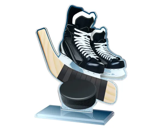 Akrylátová trofej AWF M60 | Hokej Výška cm: 13,5 - Šířka cm: 12,5 - bronzová