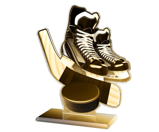 Akrylátová trofej AWF M60 | Hokej Výška cm: 13,5 - Šířka cm: 12,5 - bronzová