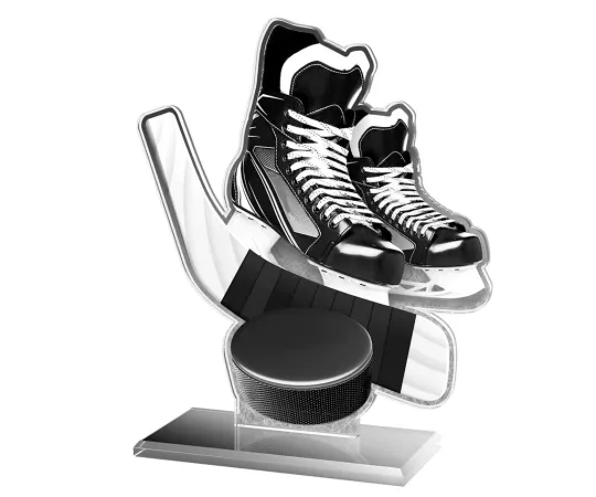 Akrylátová trofej AWF M60 | Hokej Výška cm: 13,5 - Šířka cm: 12,5 - bronzová