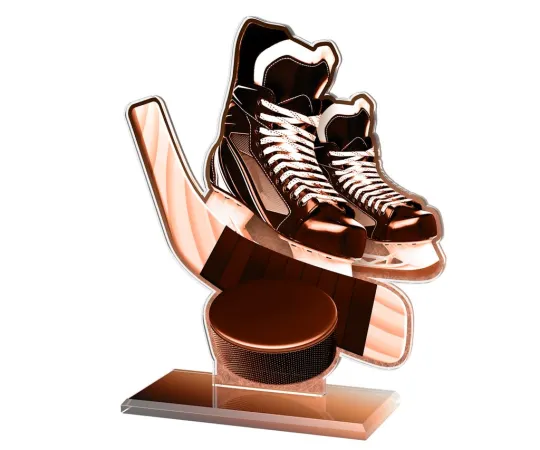 Akrylátová trofej AWF M60 | Hokej Výška cm: 13,5 - Šířka cm: 12,5 - bronzová