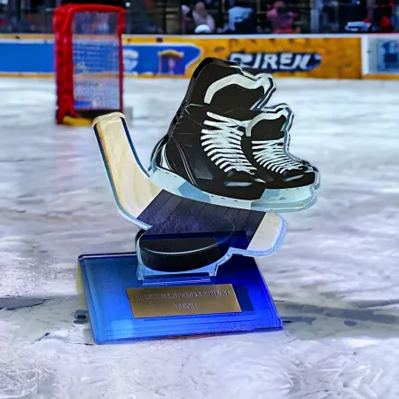 Akrylátová trofej AWF M60 | Hokej Výška cm: 13,5 - Šířka cm: 12,5 - bronzová