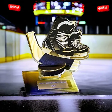 Akrylátová trofej AWF M60 | Hokej Výška cm: 13,5 - Šířka cm: 12,5 - bronzová