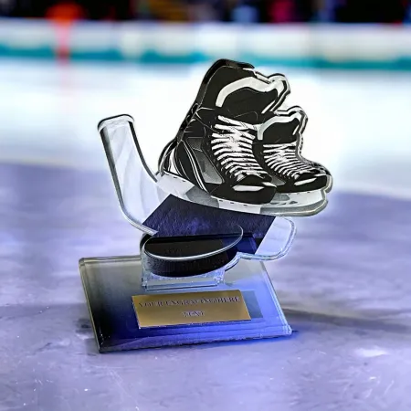 Akrylátová trofej AWF M60 | Hokej Výška cm: 13,5 - Šířka cm: 12,5 - bronzová