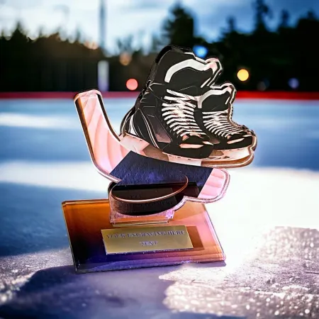 Akrylátová trofej AWF M60 | Hokej Výška cm: 13,5 - Šířka cm: 12,5 - bronzová