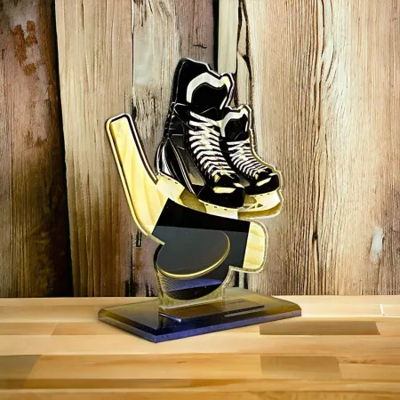 Akrylátová trofej AWF M60 | Hokej Výška cm: 13,5 - Šířka cm: 12,5 - bronzová