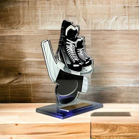 Akrylátová trofej AWF M60 | Hokej Výška cm: 13,5 - Šířka cm: 12,5 - bronzová