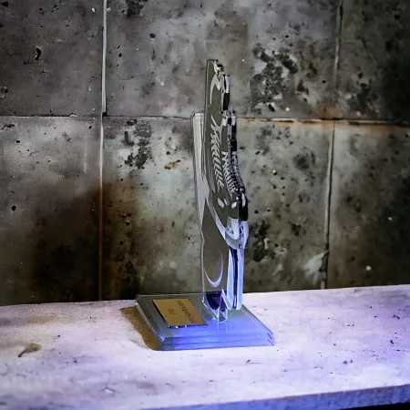 Akrylátová trofej AWF M60 | Hokej Výška cm: 13,5 - Šířka cm: 12,5 - bronzová
