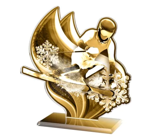 Akrylátová trofej AWF M72 | Sjezdové lyžování Výška cm: 15,5 - Šířka cm: 14,5 - stříbrná