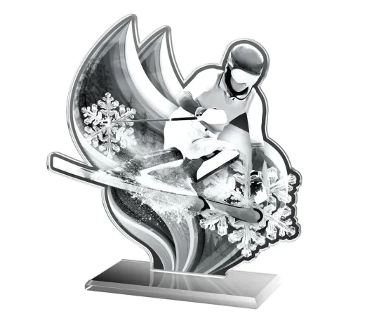 Akrylátová trofej AWF M72 | Sjezdové lyžování Výška cm: 15,5 - Šířka cm: 14,5 - stříbrná